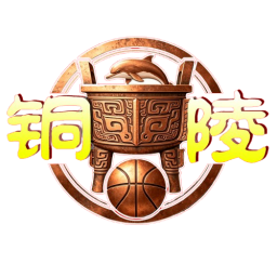 铜陵市队徽