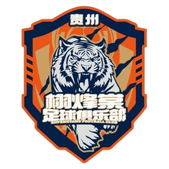 贵州栩烽棠队徽