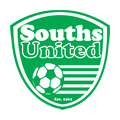 南部联合队徽