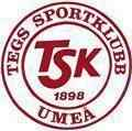 托尔恩格鲁本队徽